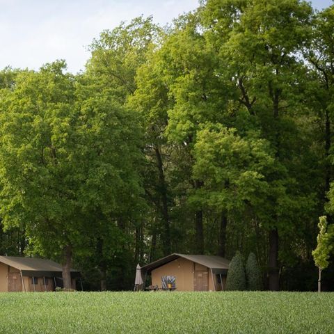 Tente en toile et en bois 5 personnes - Luxe