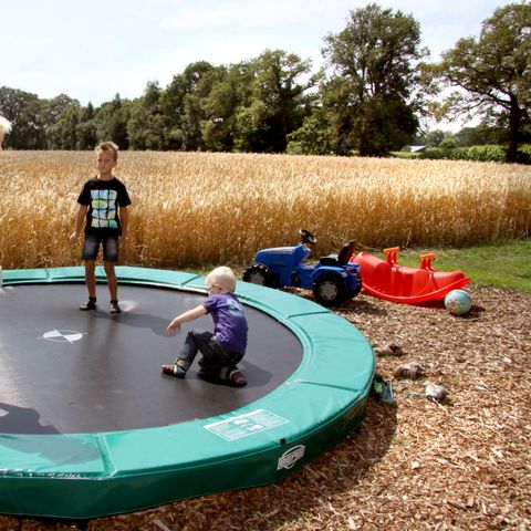 Landrijk de Reesprong - Camping Haaksbergen - Image N°3