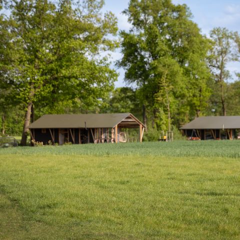 Landrijk de Reesprong - Camping Haaksbergen - Image N°5