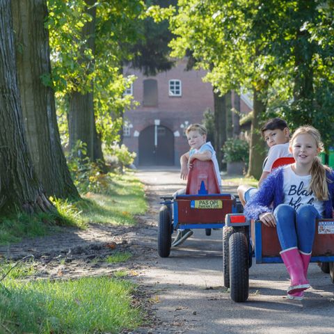 Landrijk de Reesprong - Camping Haaksbergen - Image N°6