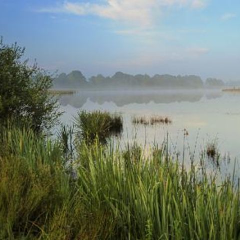 Vakantiecentrum Maarnse Berg - Camping Utrechtse Heuvelrug - Image N°2