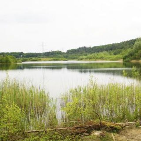 Vakantiecentrum Maarnse Berg - Camping Utrechtse Heuvelrug - Image N°3