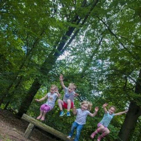 Vakantiecentrum Maarnse Berg - Camping Utrechtse Heuvelrug - Image N°5