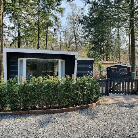 BUNGALOW 4 personnes - mobil home/chalet IJsselheide 115
