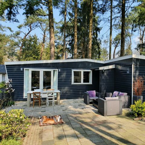 BUNGALOW 4 personnes - mobil home/chalet IJsselheide 115