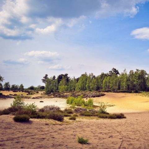 MAISON 6 personnes - De luxe
