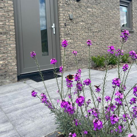 BUNGALOW 6 personnes - 57