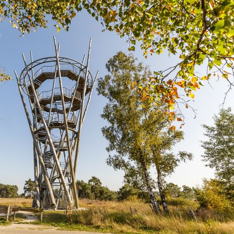 Chaletpark Kempenbos - Camping Hilvarenbeek - Image N°6