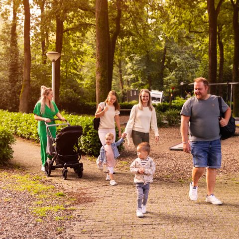 Summio Parc Heihaas - Camping Ermelo - Image N°4