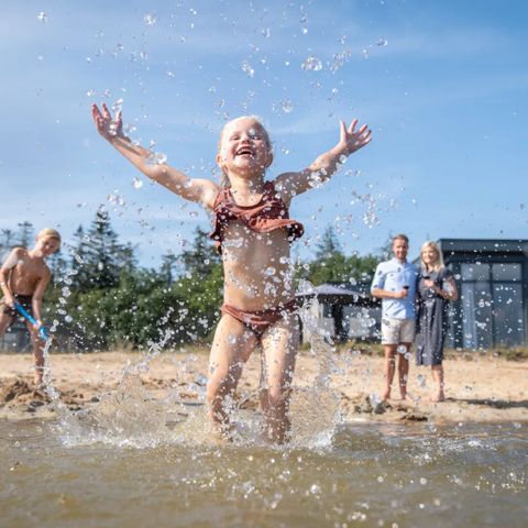 Landal Sallandse Heuvelrug - Camping Wierden - Image N°2