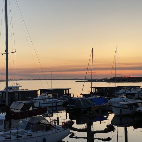 Vakantiepark de Meerparel - Camping Uitgeest - Image N°3