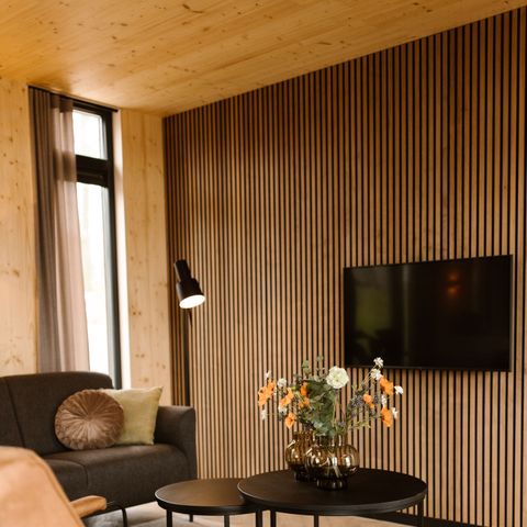 LODGE 4 personnes - Panorama