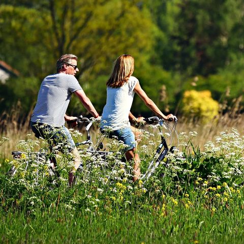 Vakantiecentrum Sonnevanck - Camping Mitte-Drenthe - Image N°3