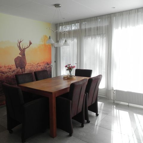 BUNGALOW 6 personnes - Marteau jaune