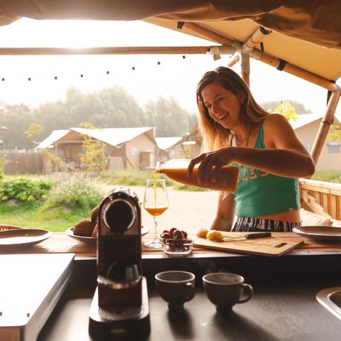 Sahara Stay - Camping Westland - Image N°6