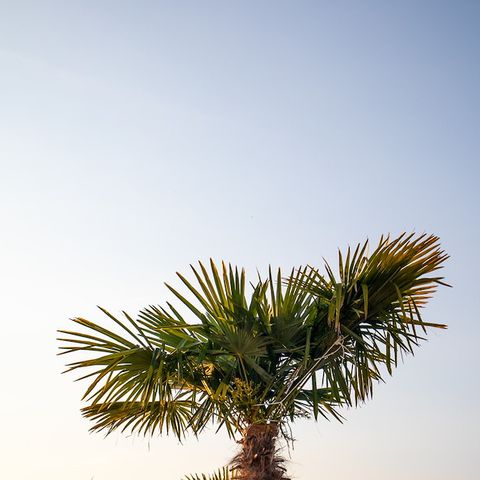 TENTE TOILE ET BOIS 2 personnes - Rêveur