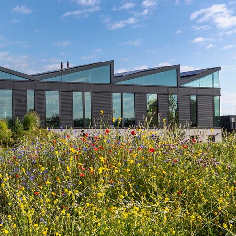 Molecaten Park Waterdunen - Camping Sluis - Image N°6