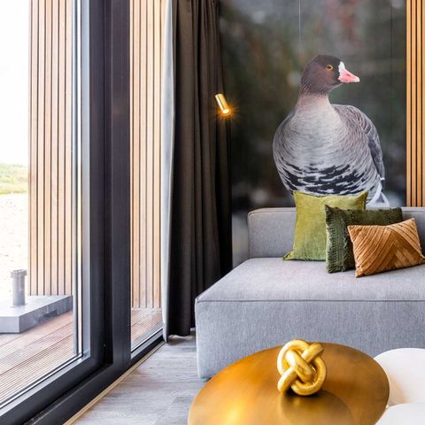 Maison 4 personnes - Oie naine