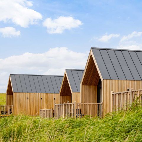 Maison 4 personnes - Pluvier bronzé