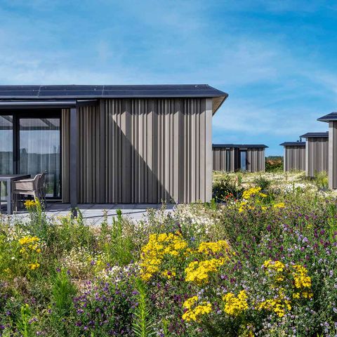 MAISON 6 personnes - Phragmite des roseaux