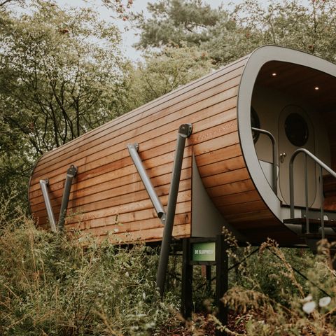 HÉBERGEMENT INSOLITE 4 personnes - Maison dans les arbres Skycabin Creeper