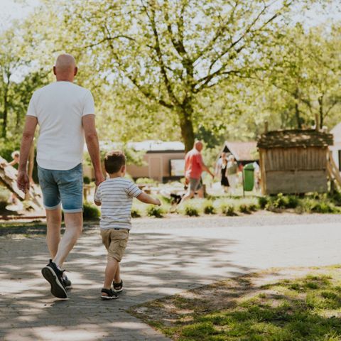 Camping SiEsAn - Camping Hardenberg - Image N°4