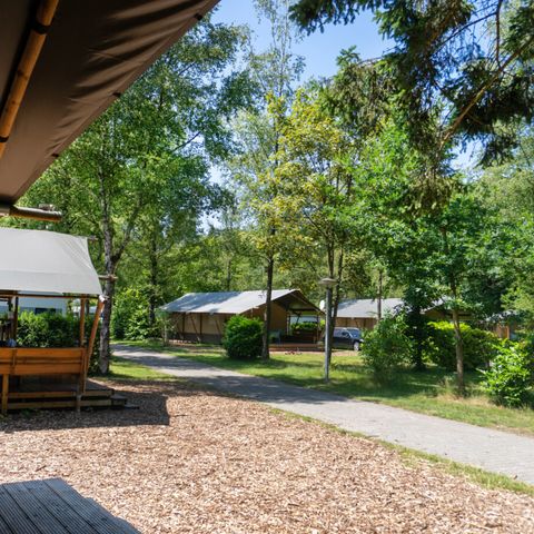 Vodatent Camping de Zeven Heuveltjes - Camping Borger-Odoorn - Image N°6