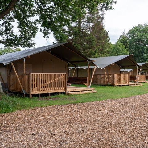 Tente en toile et en bois 6 personnes - y compris les installations sanitaires