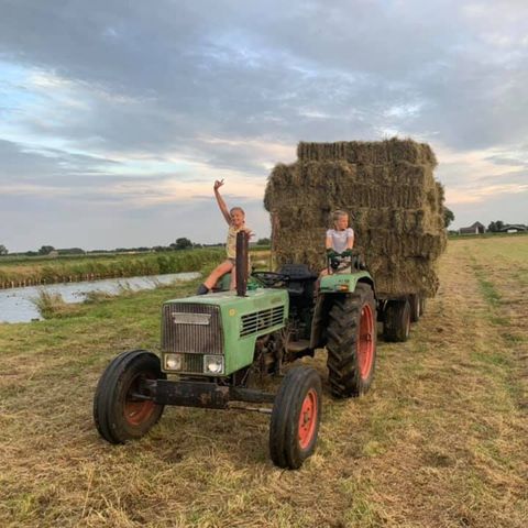 Vodatent Boerencamping Swarthoeve  - Camping Wormerland - Image N°4