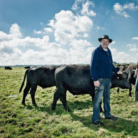 Vodatent Camping de Waterbuffelfarm  - Camping Steenwijkerland - Image N°2