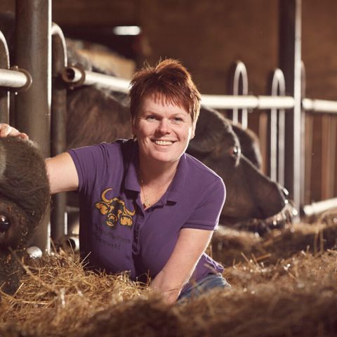 Vodatent Camping de Waterbuffelfarm  - Camping Steenwijkerland - Image N°5