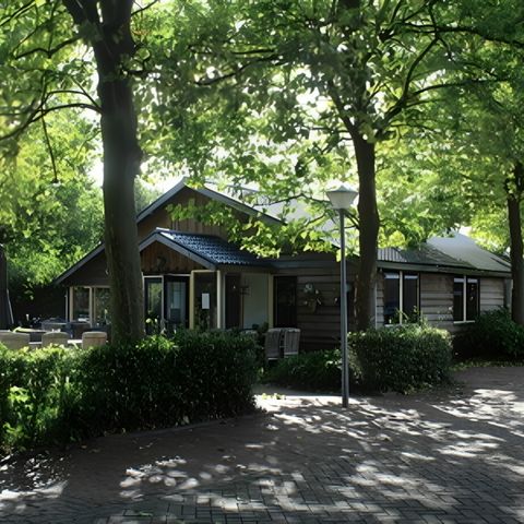 Vodatent Camping de Zwammenberg  - Camping Loon op Zand - Image N°5