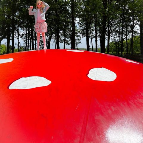 Vodatent Camping de Zwammenberg  - Camping Loon op Zand - Image N°6