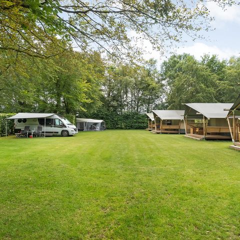 TENTE TOILE ET BOIS 6 personnes - y compris les toilettes