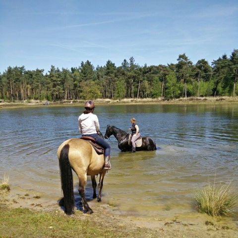 Vodatent Camping Amable - Camping Someren - Image N°2