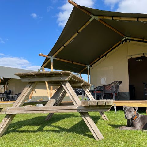 Tente en toile et en bois 6 personnes