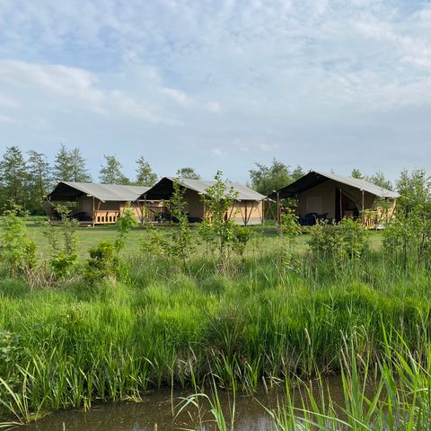 Vodatent Natuurlijk de Veenhoop - Camping Smallingerland - Image N°5