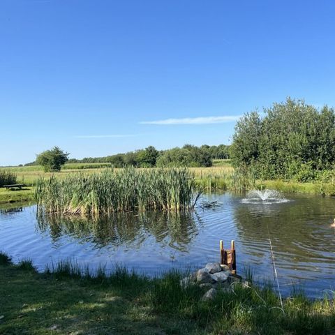 Vodatent Vakantiepark de Toffe Peer - Camping De Wolden - Image N°4