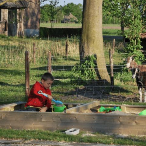 Vodatent Vakantiepark de Toffe Peer - Camping De Wolden - Image N°6