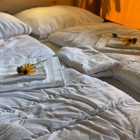 TENTE TOILE ET BOIS 5 personnes - y compris les installations sanitaires