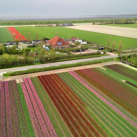 Vodatent Camping de Tulpenweide - Camping Hollands Kroon - Image N°2