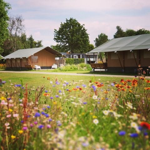 TENTE TOILE ET BOIS 6 personnes - XL avec toilettes