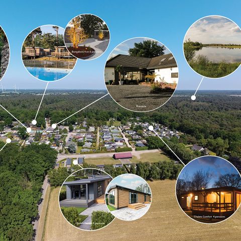 Recreatiepark Maas en Bos - Camping Bergen - Image N°2