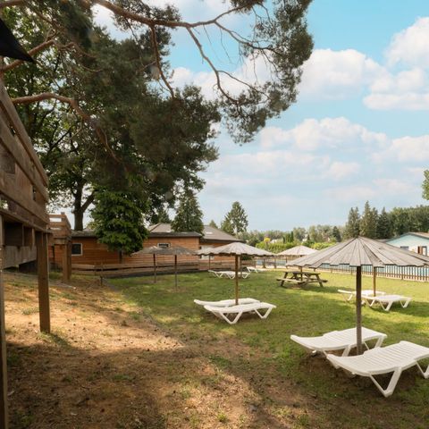 Recreatiepark Maas en Bos - Camping Bergen - Image N°4