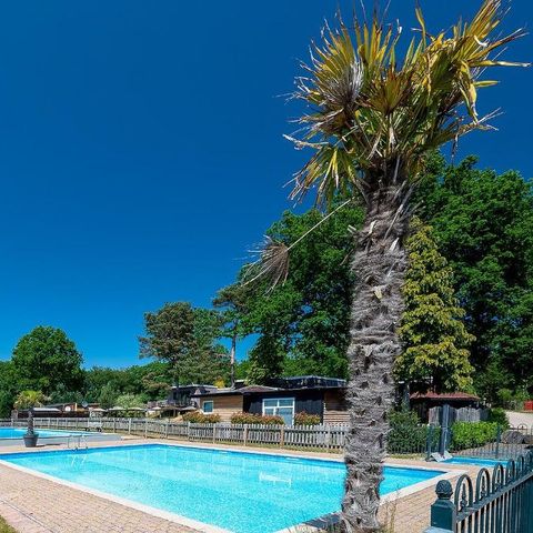 Recreatiepark Maas en Bos - Camping Bergen - Image N°3