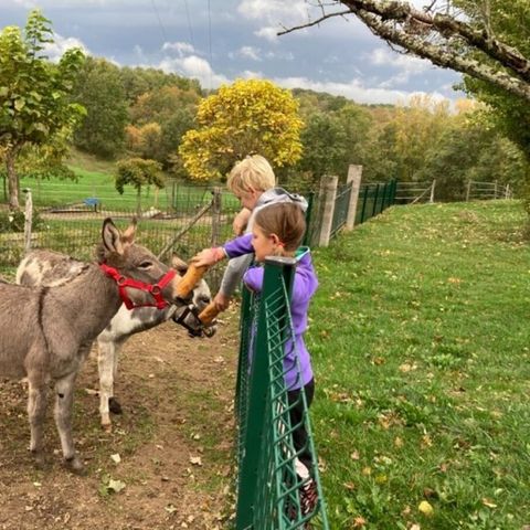 Vodatent Camping Fargogne - Camping Tarn-et-Garonne - Image N°4