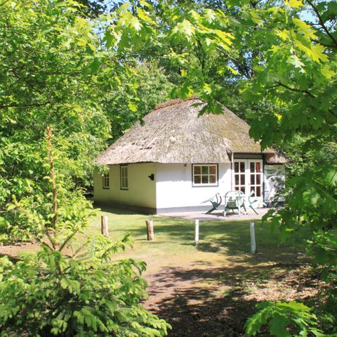 BUNGALOW 4 personnes - Stuif Hoeve 4