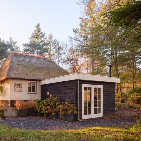 BUNGALOW 2 personnes - Stuif Hoeve 2 Deluxe