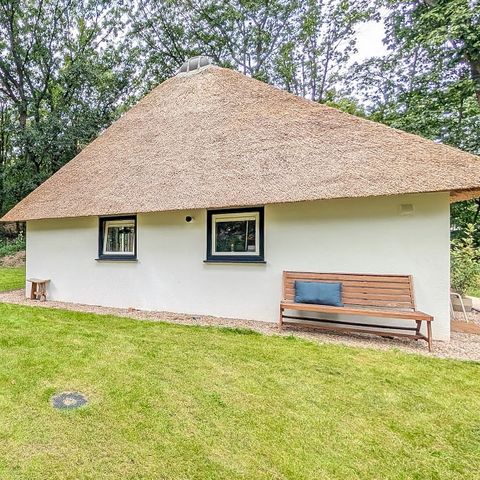 BUNGALOW 4 personnes - Maashoeve Deluxe