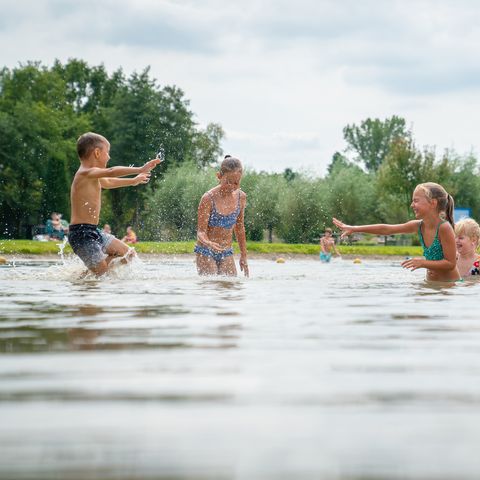 Landal Klein Oisterwijk - Camping Oisterwijk - Image N°2